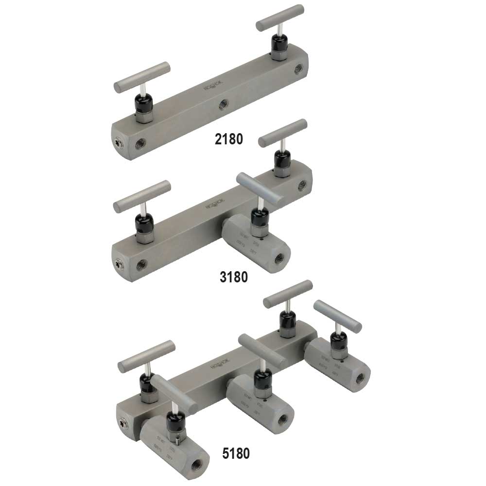 2180/3180/5180 Series Chart Recorder Manifold Valves with Soft Seat